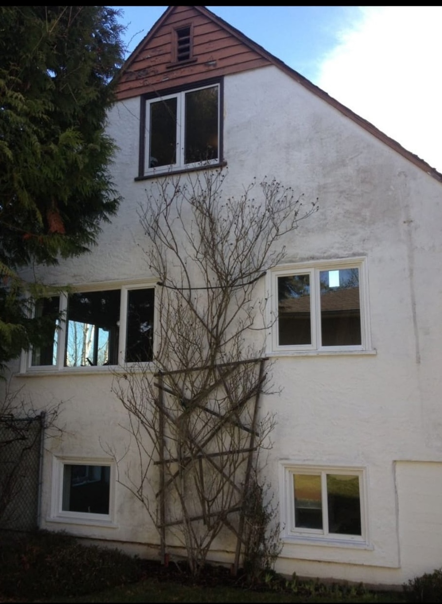 Before painting